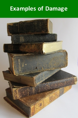 Examples of Damage to Books